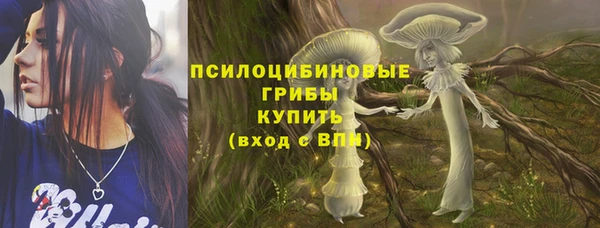 apvp Вяземский