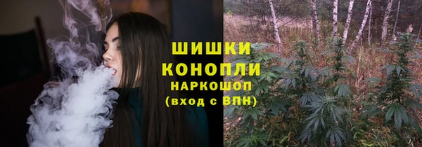 PSILOCYBIN Горно-Алтайск