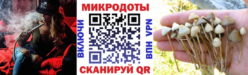Галлюциногенные грибы Magic Shrooms  даркнет сайт  Заинск 