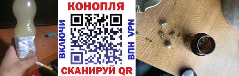 Бошки марихуана Amnesia Заинск